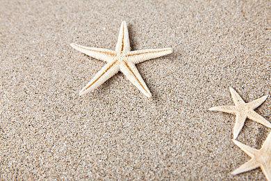 逃脱游戏《迷失猫咪的旅程2》上线Steam 本月底发售